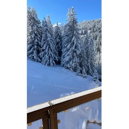 Cozy Penthouse With View & Parking Appartement